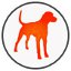 Dog Solar Icon